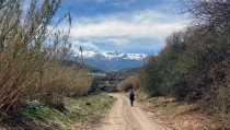 SENDERISMO: Las Rutas del Cerezo en Flor de Abla se ampl&iacute;an a todo el fin de semana tras el &eacute;xito de demanda