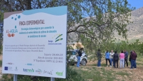AL-AQUA apuesta por la biotecnolog&iacute;a para mejorar la sostenibilidad del almendro