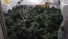 Detienen a los responsables de un cultivo 'indoor' de marihuana en Tabernas