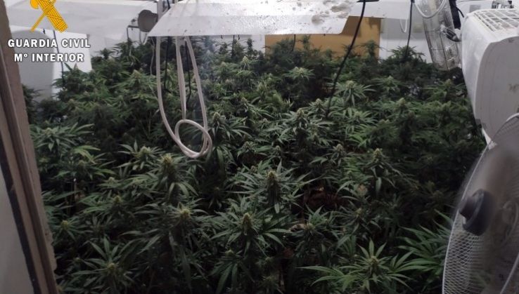 Detienen a los responsables de un cultivo 'indoor' de marihuana en Tabernas