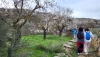 SENDERISMO: Benizal&oacute;n y Tahal, pr&oacute;ximas citas con las Rutas del Almendro en Flor Filabres Alhamilla - Nacimiento 2026