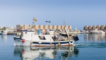 El Ayuntamiento de Adra gestiona casi 300 licencias de pesca durante el a&ntilde;o 2022
