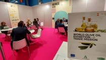 Almer&iacute;a es la provincia andaluza donde m&aacute;s crecen las exportaciones de aceite de oliva