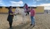 El CEE Princesa Sof&iacute;a disfruta con el programa de hipoterapia del PMD