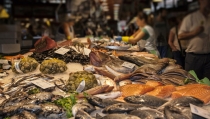 Andaluc&iacute;a aumenta hasta los 6,6 millones las ayudas a la comercializaci&oacute;n de productos pesqueros