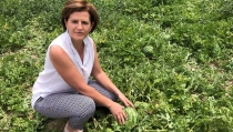 La sand&iacute;a al aire libre cierra la campa&ntilde;a con buenas sensaciones para el campo
