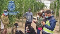 Detenido un hombre en V&iacute;car por acosar laboral y sexualmente a una empleada