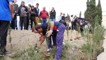Estudiantes de Adra ayudan a plantar cipreses en la barriada de La Curva