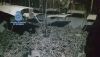 Un incendio revela una plantaci&oacute;n de marihuana en una vivienda de Almer&iacute;a