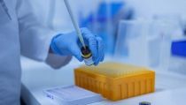 Investigadores andaluces demuestran la relaci&oacute;n de la vitamina D frente a la Covid