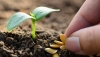 Infoagro Exhibition mostrar&aacute; la mayor selecci&oacute;n de semillas agr&iacute;colas