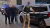 Descubren m&aacute;s de 1.100 plantas de marihuana en una nave industrial de Hu&eacute;rcal