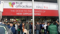 41 empresas hortofrut&iacute;colas andaluzas asistir&aacute;n a Fruit Attraction con COEXPHAL