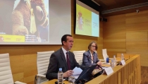 Expertos analizan la atenci&oacute;n a menores expuestos a violencia de g&eacute;nero