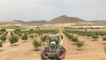 ASAJA Almer&iacute;a critica que los nuevos ecorreg&iacute;menes perjudican los cultivos de almendro de la provincia