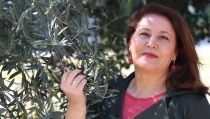 Andaluc&iacute;a pide una rebaja fiscal generalizada del 50% para el sector agrario
