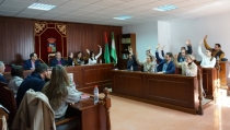 V&iacute;car aprueba un presupuesto "con proyecci&oacute;n de futuro" de 30,2 millones de euros