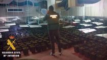 Dos detenidos por un cultivo indoor de 963 plantas marihuana en Roquetas