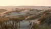 Una gu&iacute;a recopila los m&aacute;s de 70 tipos de h&aacute;bitats naturales terrestres de Andaluc&iacute;a