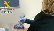 Detienen a una mujer que portaba 194 bellotas de hach&iacute;s ocultas en el cuerpo