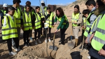 Comienza la plantaci&oacute;n en los Jardines del Mediterr&aacute;neo de La Hoya