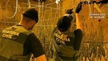 Detienen a los once miembros de una banda de traficantes de marihuana en Roquetas