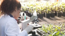 El Ifapa pone en marcha 38 proyectos de investigaci&oacute;n con m&aacute;s de 10,4 millones de presupuesto