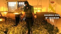 La Guardia Civil interviene una plantaci&oacute;n indoor de marihuana en Roquetas