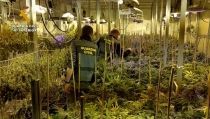 Desarticulado un grupo criminal dedicado al tr&aacute;fico de drogas a nivel europeo