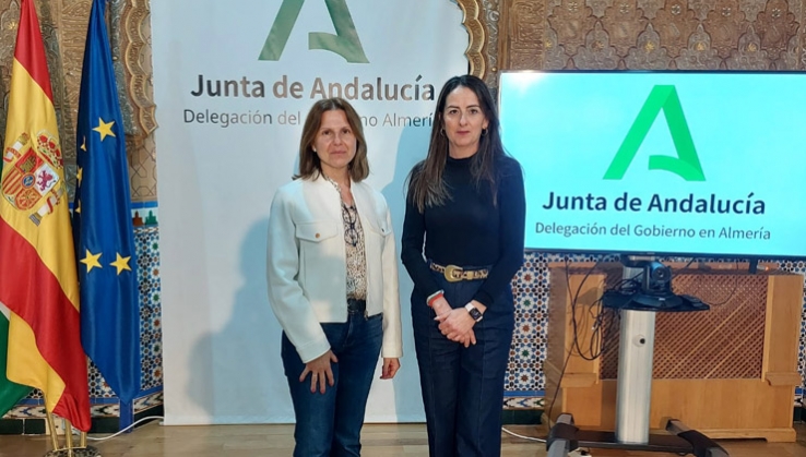 Andaluc&iacute;a planea construir 20.000 viviendas protegidas en cinco a&ntilde;os