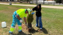 La Mojonera mejorar&aacute; sus zonas verdes con 1.258 nuevas plantas