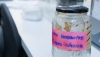Salud detecta el virus del Nilo en mosquitos de Pulp&iacute;, Moj&aacute;car y La Puebla del R&iacute;o