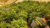 Detenidos los cuatro responsables de un cultivo 'indoor' de marihuana en V&iacute;car