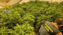 Detenidos los cuatro responsables de un cultivo 'indoor' de marihuana en V&iacute;car