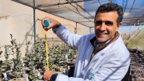 Investigadores demuestran que el oto&ntilde;o es la mejor &eacute;poca para repoblar