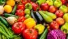 Las exportaciones agroalimentarias andaluzas crecen un 8,4% hasta octubre