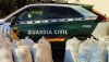 La Guardia Civil desmantela un plantaci&oacute;n de marihuana en Paterna del R&iacute;o