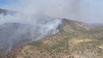 El incendio en Dal&iacute;as ya est&aacute; controlado por el equipo del Infoca