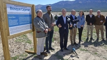 Cajamar planta 12.000 &aacute;rboles en el Parque Natural de Sierra de Mar&iacute;a-Los V&eacute;lez