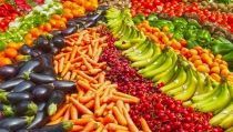 El agroalimentario andaluz crece un 4,9% y bate su r&eacute;cord de exportaci&oacute;n, con Almer&iacute;a de l&iacute;der