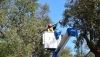 Endesa invierte cerca de 400.000 euros en prevenci&oacute;n de incendios forestales