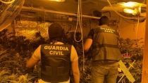 Encuentran 429 plantas de marihuana en dos cultivos 'indoor' de Roquetas