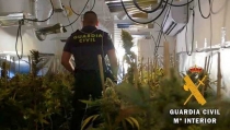 Detienen al responsable de un cultivo indoor de marihuana en Hu&eacute;rcal de Almer&iacute;a