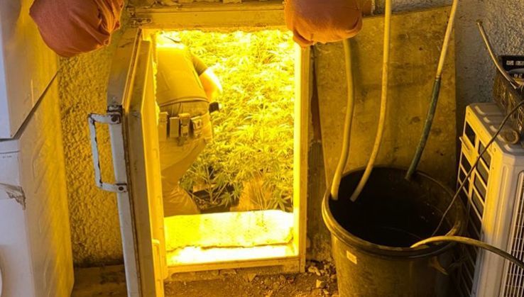 Descubren una plantaci&oacute;n de marihuana camuflada tras un falso frigor&iacute;fico en El Ejido