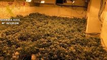 Detienen en Arboleas al responsable de una plantaci&oacute;n de marihuana