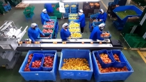 Nuevo r&eacute;cord de exportaciones andaluzas, con 10.559 millones en el primer trimestre de 2025