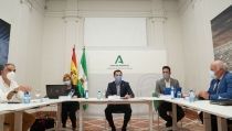Andaluc&iacute;a pospone el Certificado Covid y busca el aval del TSJA