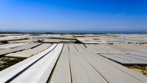 Los invernaderos solares, claves para mitigar el calentamiento global