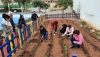 Escolares de Hu&eacute;rcal de Almer&iacute;a aprenden a cultivar huertos en sus colegios