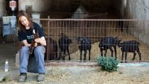 Se ampl&iacute;a el plazo para solicitar las ayudas para j&oacute;venes agricultores